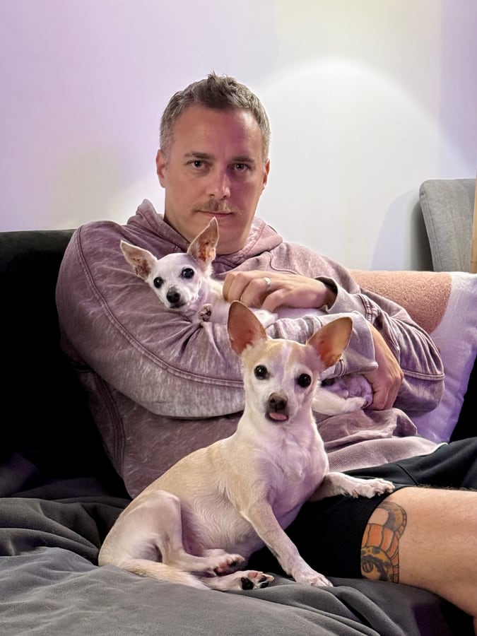 Sitting on the sofa in a hoodie with two chihuahuas curled up alongside